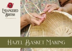 Hazel Basket Making