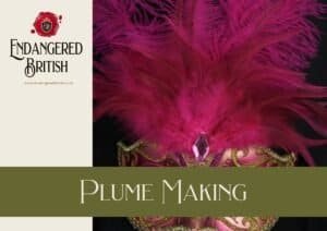 Plume Making