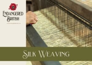 Silk Weaving