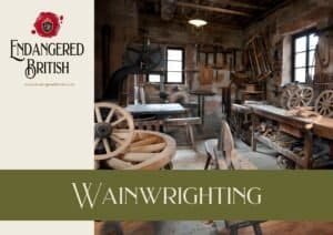 Wainwrighting