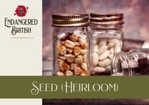 Seed (Heirloom)